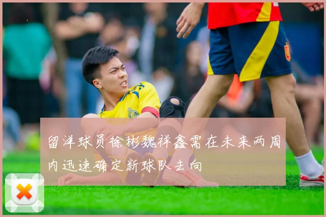 留洋球员徐彬魏祥鑫需在未来两周内迅速确定新球队去向